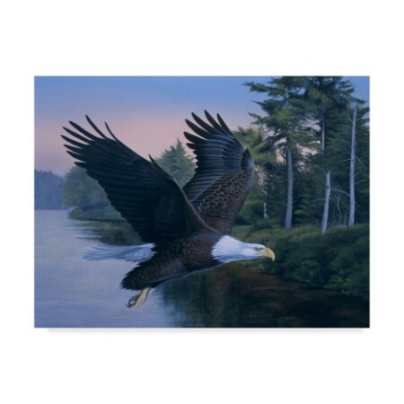 Trademark Fine Art Rusty Frentner 'Eagle Soaring' Canvas Art, 35x47 ALI33098-C3547GG